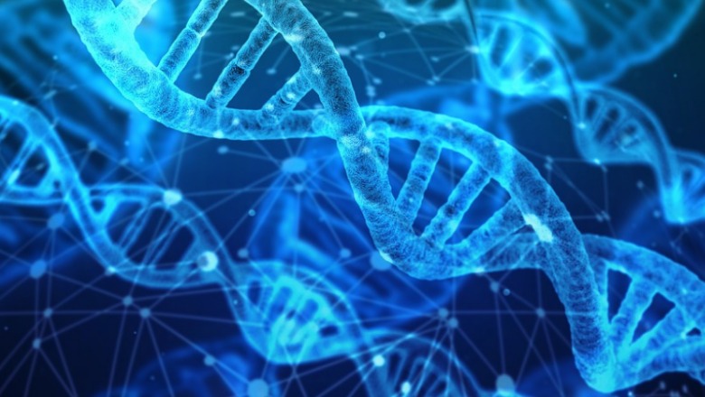 DNA Whatsapp Image 2020 04 24 At 62806 Pm 1